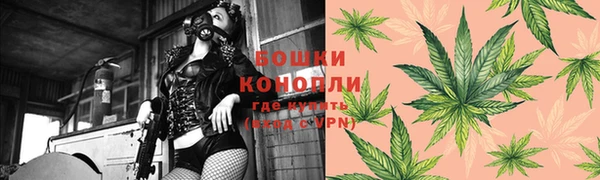 винт Костерёво