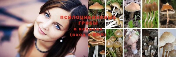 мяу мяу мука Краснотурьинск