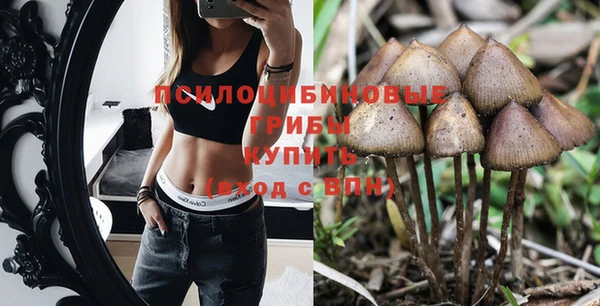 мяу мяу мука Краснотурьинск