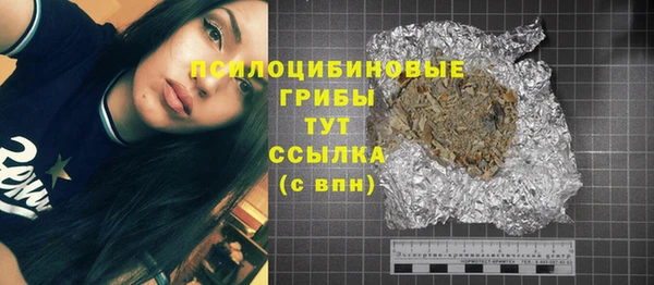винт Костерёво